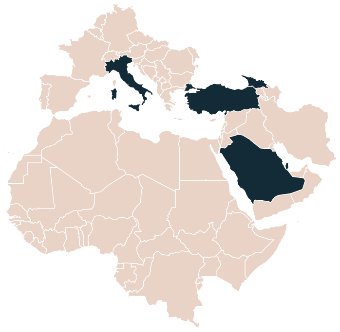 خريطة المشاريع الدولية